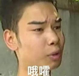 广东台广告表情包,趣味横生，笑点满满