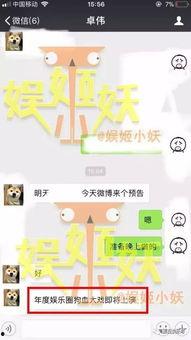 娱乐圈狗血聊天,揭秘明星背后的狗血聊天大揭秘