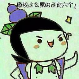 搞笑手机名字,搞笑名字背后的趣味人生